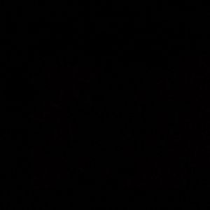 Meet your Posher, Ellyssa